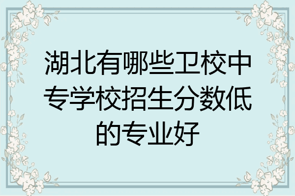 湖北有哪些卫校中专学校招生分数低的专业好