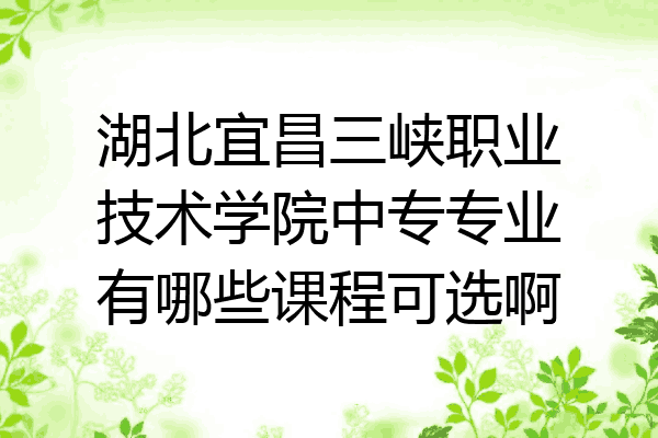 湖北宜昌三峡职业技术学院中专专业有哪些课程可选啊