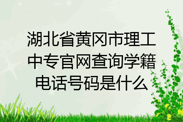 湖北省黄冈市理工中专官网查询学籍电话号码是什么