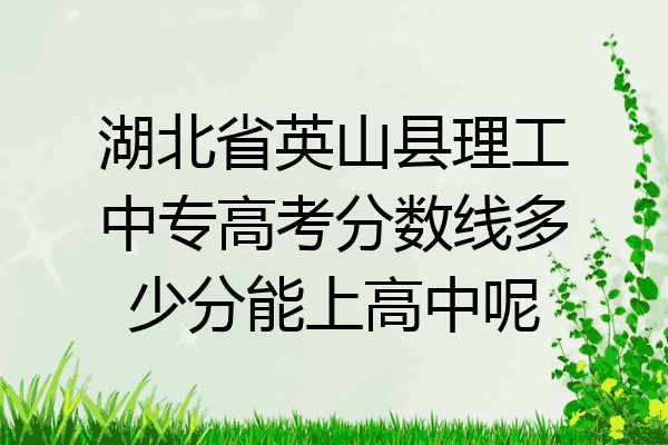 湖北省英山县理工中专高考分数线多少分能上高中呢