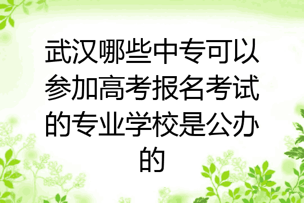 武汉哪些中专可以参加高考报名考试的专业学校是公办的