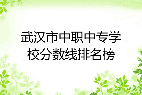 武汉市中职中专学校分数线排名榜