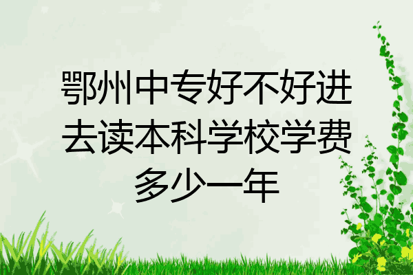鄂州中专好不好进去读本科学校学费多少一年
