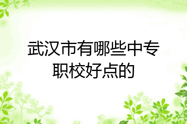 武汉市有哪些中专职校好点的