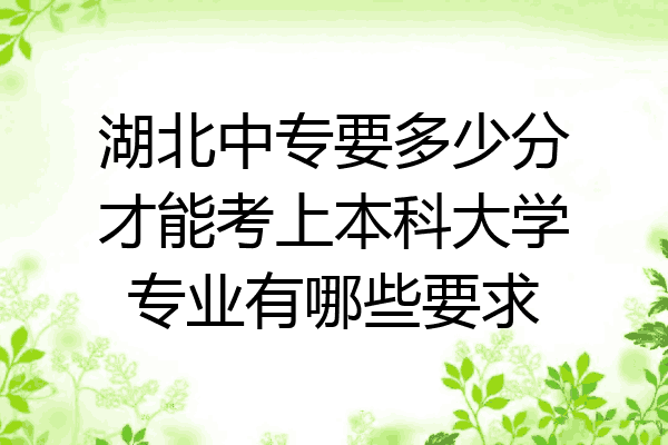 湖北中专要多少分才能考上本科大学专业有哪些要求