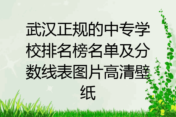 武汉正规的中专学校排名榜名单及分数线表图片高清壁纸