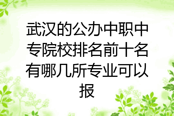 武汉的公办中职中专院校排名前十名有哪几所专业可以报
