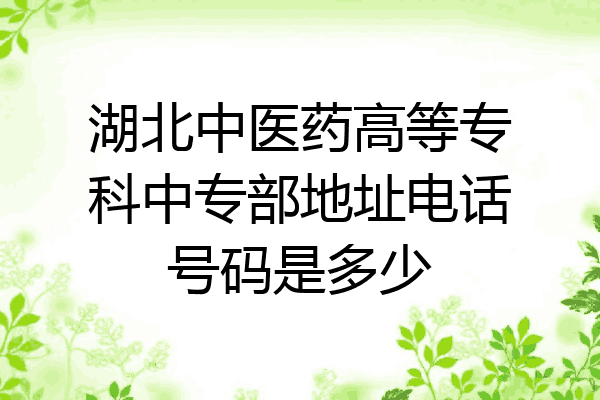 湖北中医药高等专科中专部地址电话号码是多少