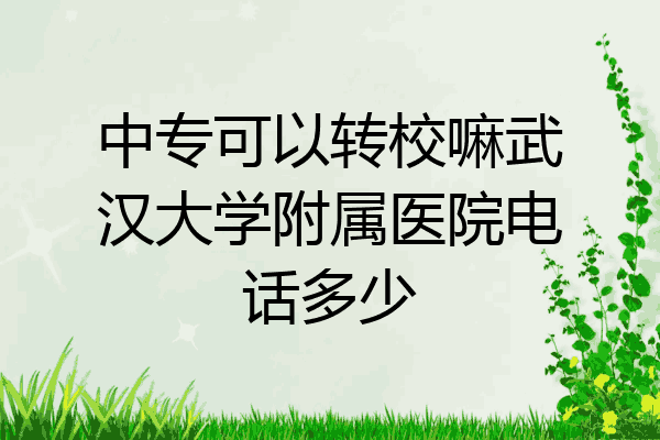 中专可以转校嘛武汉大学附属医院电话多少