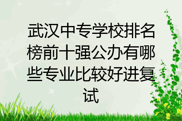 武汉中专学校排名榜前十强公办有哪些专业比较好进复试