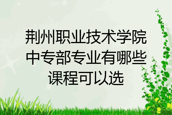 荆州职业技术学院中专部专业有哪些课程可以选