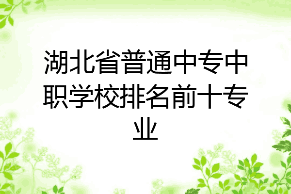 湖北省普通中专中职学校排名前十专业