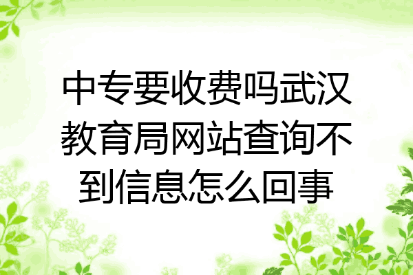 中专要收费吗武汉教育局网站查询不到信息怎么回事
