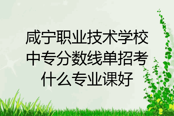 咸宁职业技术学校中专分数线单招考什么专业课好