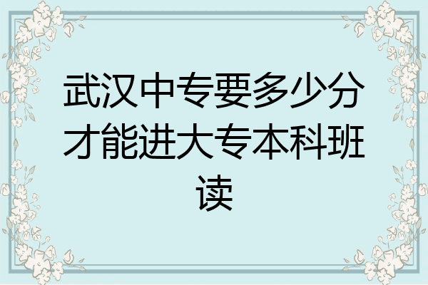武汉中专要多少分才能进大专本科班读