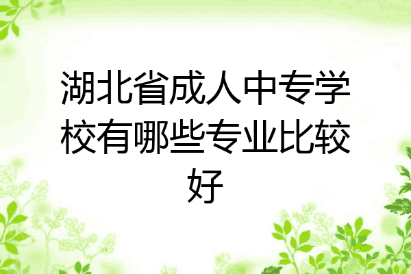 湖北省成人中专学校有哪些专业比较好