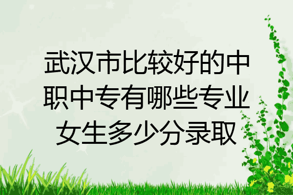 武汉市比较好的中职中专有哪些专业女生多少分录取
