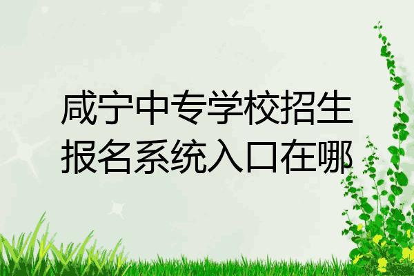 咸宁中专学校招生报名系统入口在哪