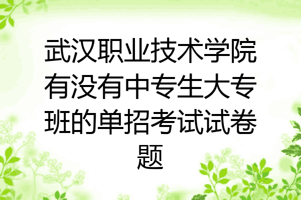 武汉职业技术学院有没有中专生大专班的单招考试试卷题