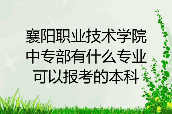 襄阳职业技术学院中专部有什么专业可以报考的本科