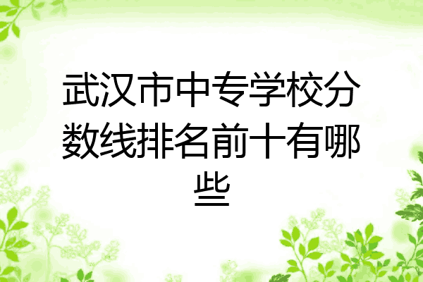 武汉市中专学校分数线排名前十有哪些