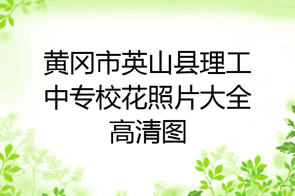 黄冈市英山县理工中专校花照片大全高清图