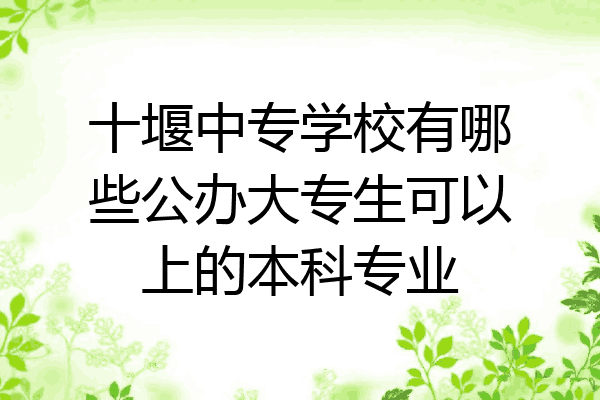十堰中专学校有哪些公办大专生可以上的本科专业