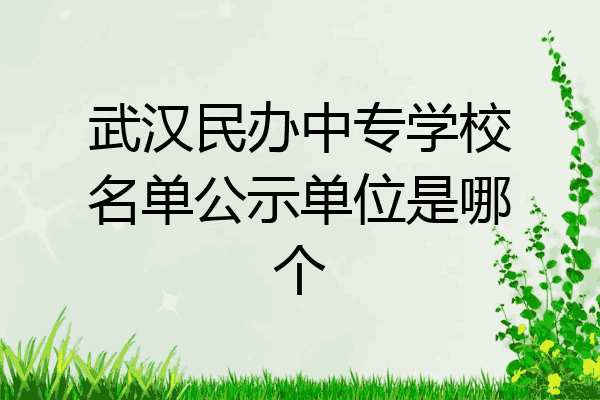 武汉民办中专学校名单公示单位是哪个