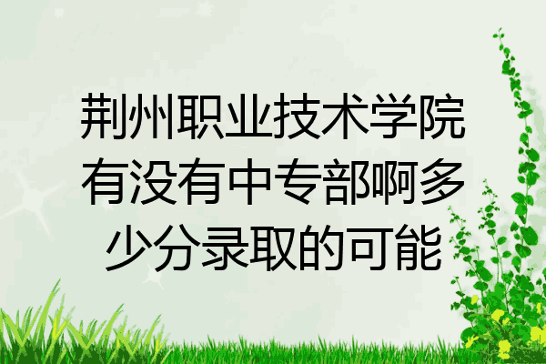 荆州职业技术学院有没有中专部啊多少分录取的可能