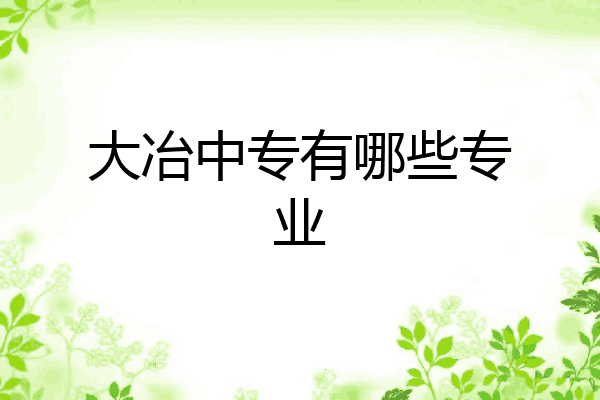 大冶中专有哪些专业