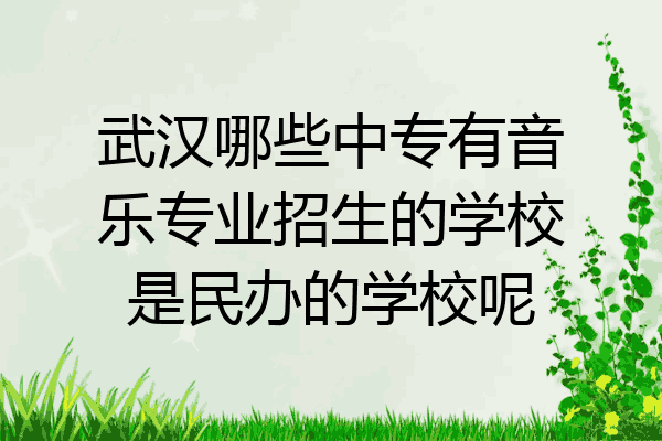 武汉哪些中专有音乐专业招生的学校是民办的学校呢