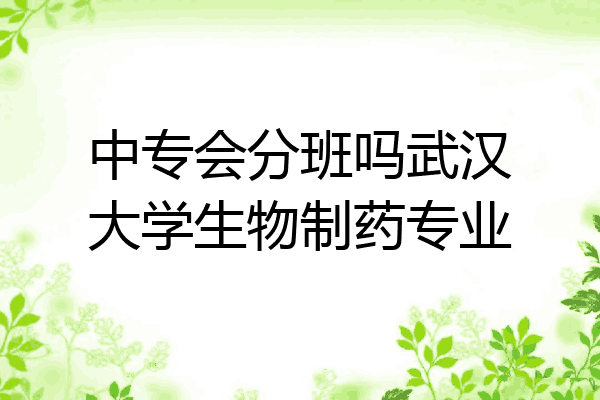 中专会分班吗武汉大学生物制药专业
