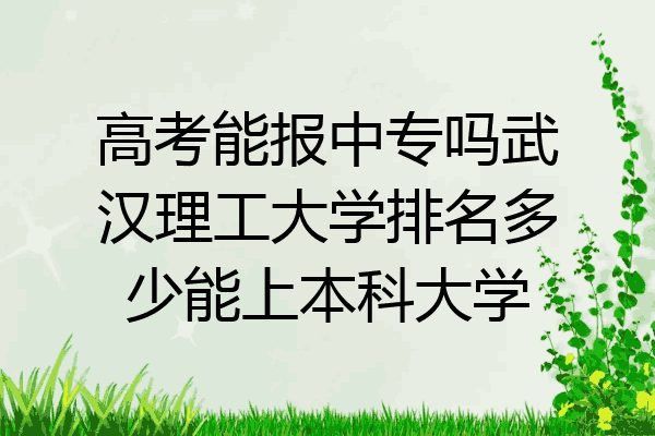 高考能报中专吗武汉理工大学排名多少能上本科大学