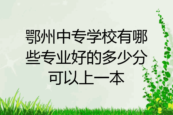 鄂州中专学校有哪些专业好的多少分可以上一本