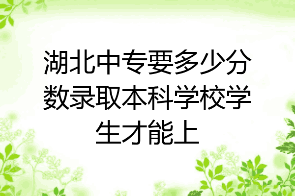 湖北中专要多少分数录取本科学校学生才能上