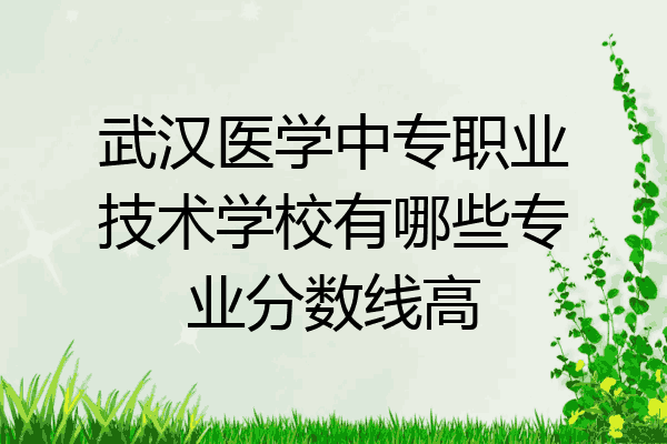 武汉医学中专职业技术学校有哪些专业分数线高