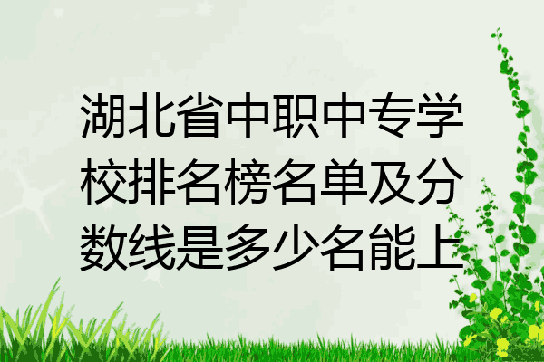 湖北省中职中专学校排名榜名单及分数线是多少名能上