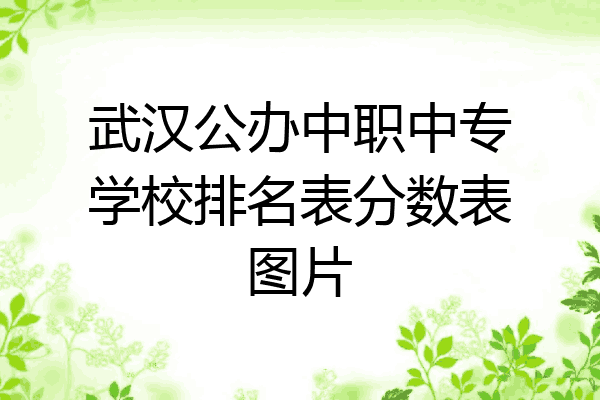 武汉公办中职中专学校排名表分数表图片