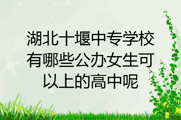 湖北十堰中专学校有哪些公办女生可以上的高中呢