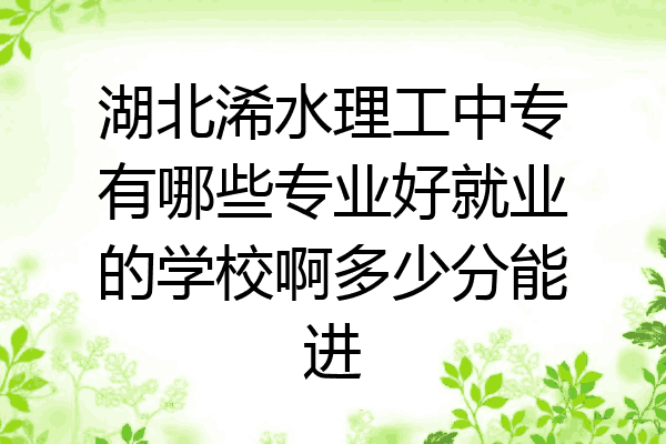 湖北浠水理工中专有哪些专业好就业的学校啊多少分能进