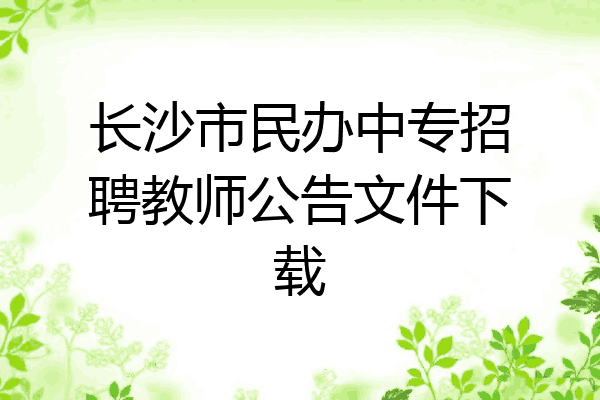 长沙市民办中专招聘教师公告文件下载