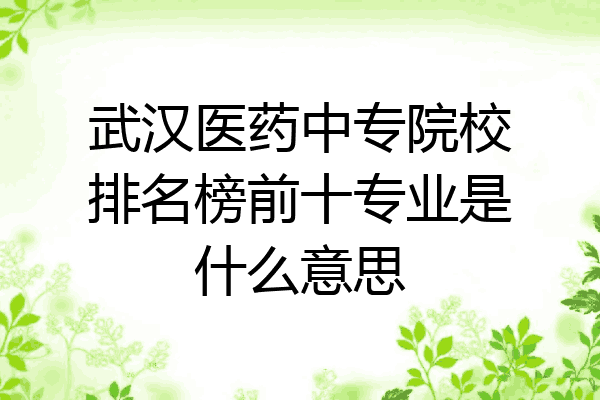 武汉医药中专院校排名榜前十专业是什么意思