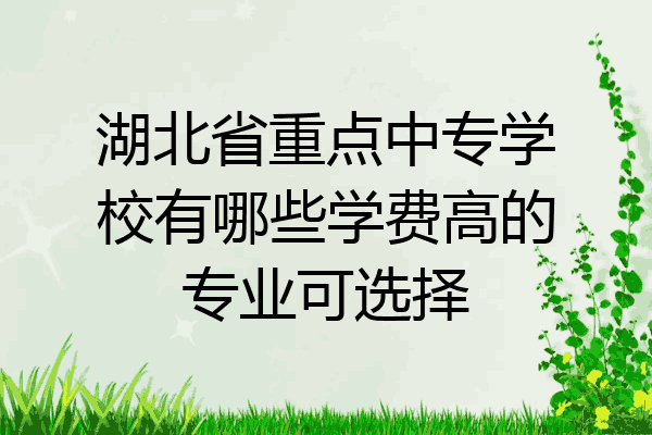 湖北省重点中专学校有哪些学费高的专业可选择
