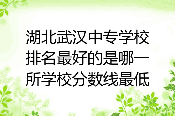 湖北武汉中专学校排名最好的是哪一所学校分数线最低