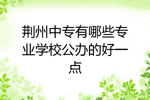 荆州中专有哪些专业学校公办的好一点