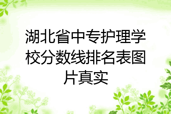 湖北省中专护理学校分数线排名表图片真实