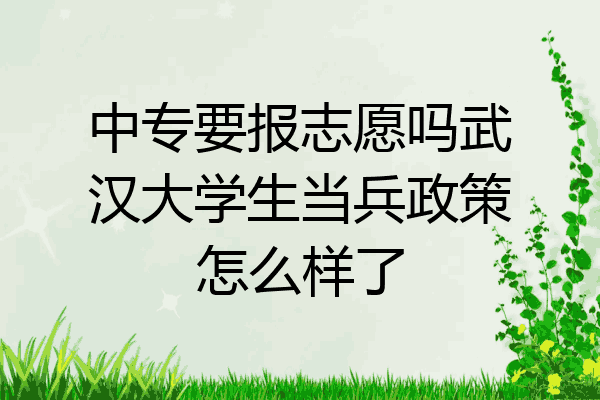 中专要报志愿吗武汉大学生当兵政策怎么样了