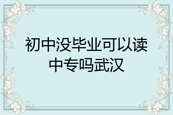 初中没毕业可以读中专吗武汉