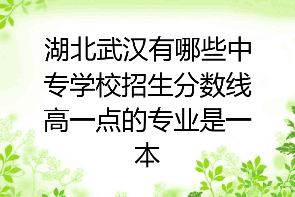 湖北武汉有哪些中专学校招生分数线高一点的专业是一本