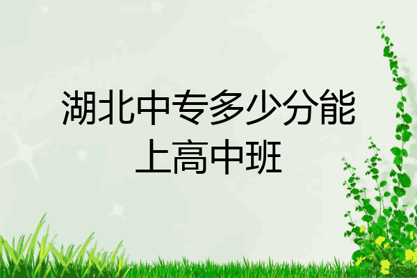 湖北中专多少分能上高中班